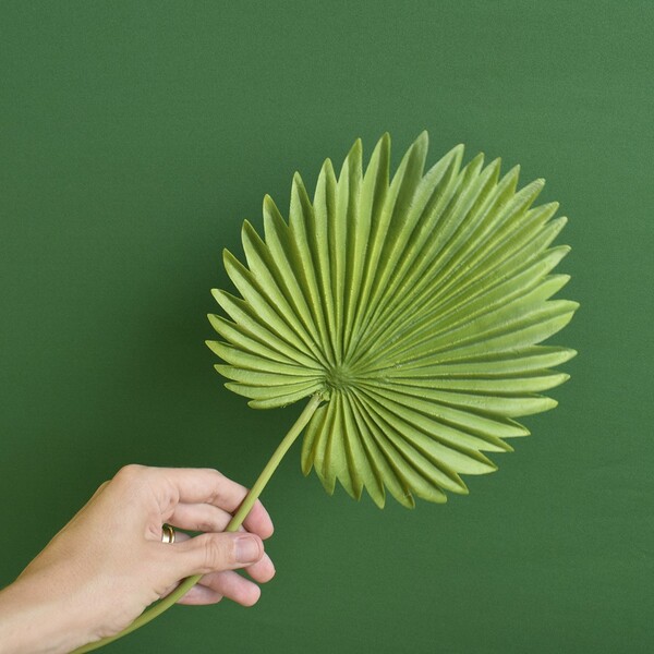 Folha De Latania Artificial Toque Real | Formosinha